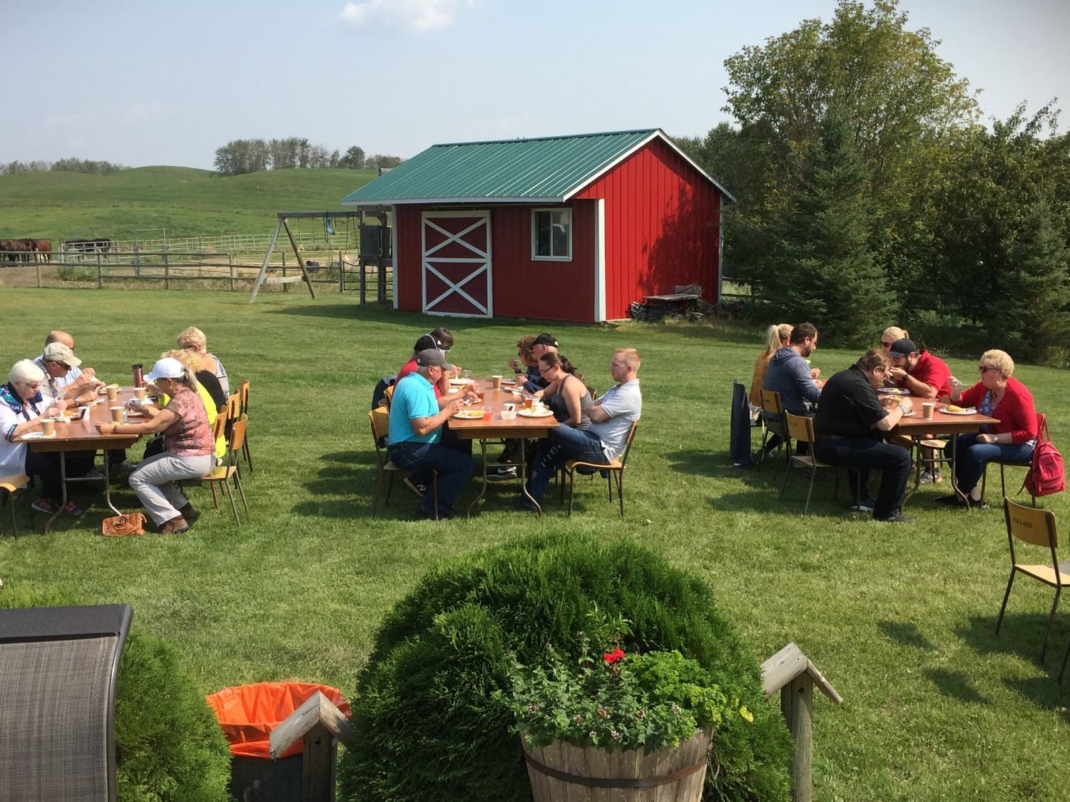 Taste — K-Cow Ranch