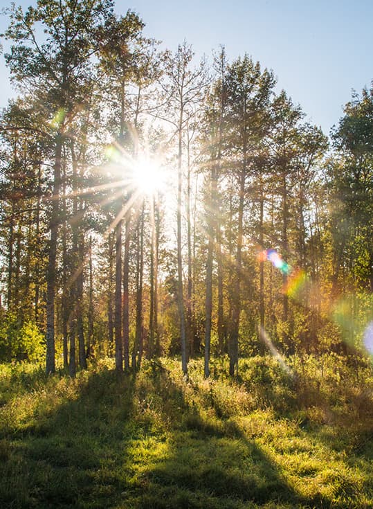 Thing To Do in Lakeland Alberta Thing To Do in Lakeland Alberta